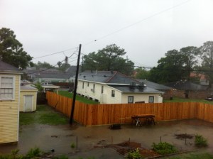 Our backyard this morning