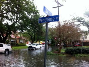 Around the corner when I took the dogs for a walk this morning