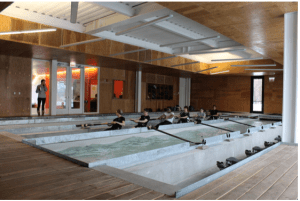 Another Clark Row House