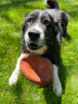 IMG_3938